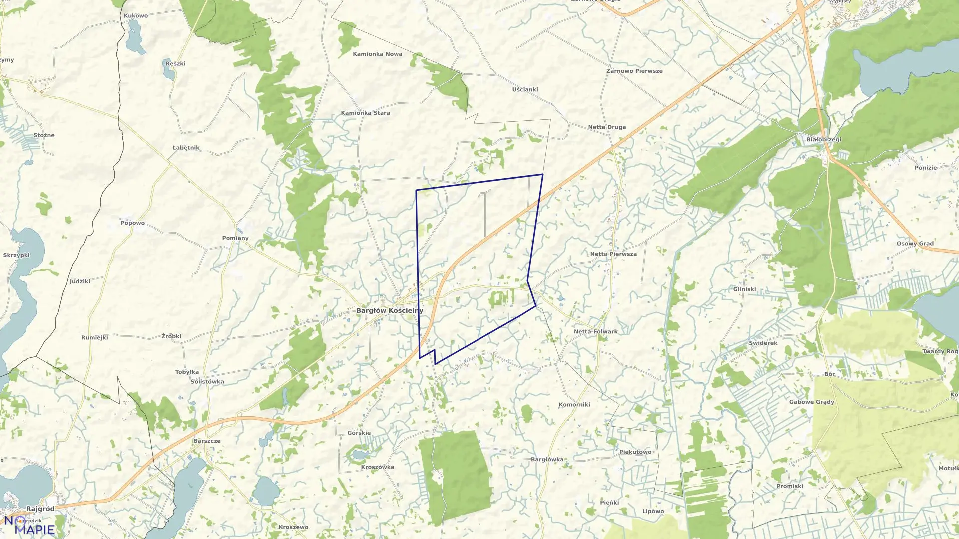 Mapa obrębu BARGŁÓW DWORNY w gminie Bargłów Kościelny